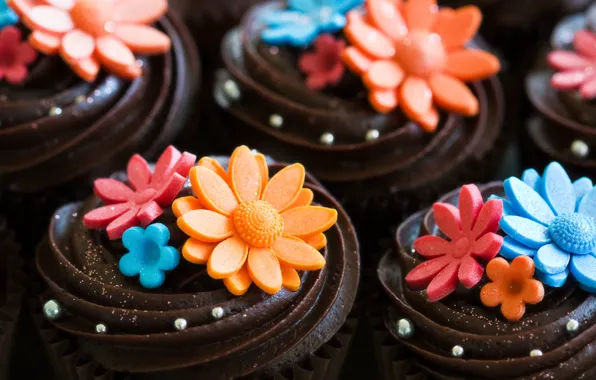 Цветы, шоколад, сладости, украшение, пирожное, крем, десерт, кекс