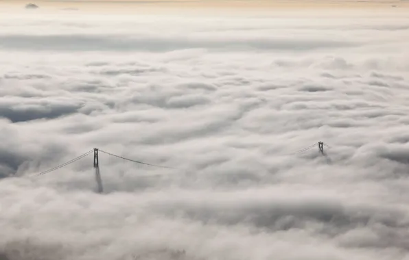 Пейзаж, природа, туман, Lions Gate Bridge