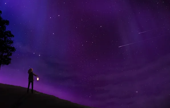 Картинка небо, звезды, деревья, ночь, человек, арт, фонарь