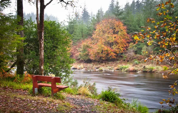 Картинка осень, река, скамья