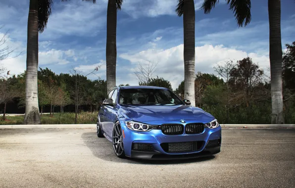 Синий, бмв, BMW, blue, tuning, F30, 3 серия