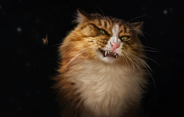 Паук, Кошка, Кот, Стиль, Арт, Art, Style, Cat