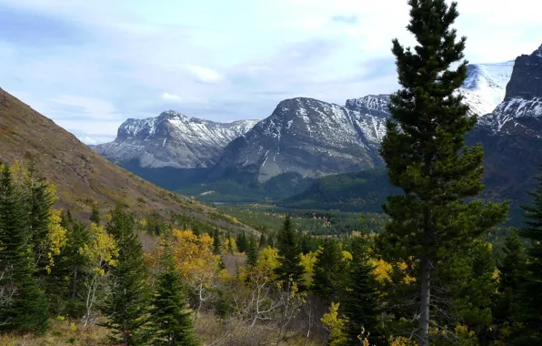 Картинка деревья, пейзаж, горы, природа, парк, фото, США, Glacier Montana