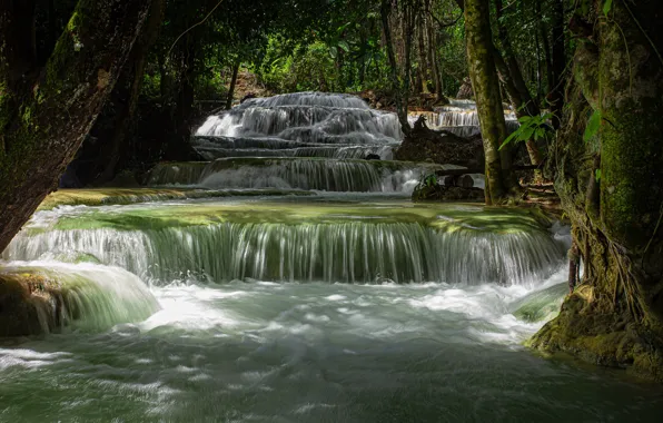 Лес, вода, пейзаж, природа, водопад, Таиланд, mae kae