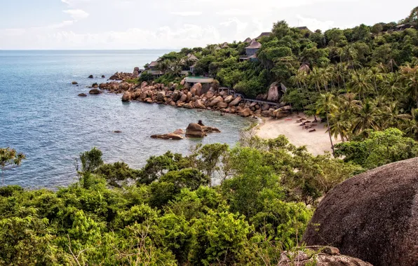 Море, пляж, небо, облака, деревья, камни, пальмы, берег