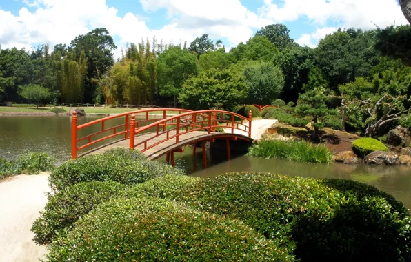 Деревья, мост, пруд, парк, Австралия, Japenese Garden, Toowoomba