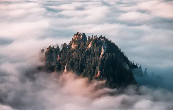 Лес, горы, туман, скалы, вершины, утро, дымка