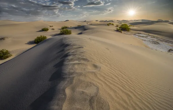 Песок, природа, пустыня, дюны, California, Death Valley, Dunes