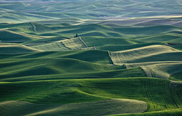 Green, landscape, nature, mountains, hills, scenery, aerial view, rural