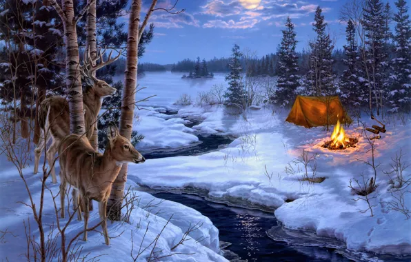 Картинка зима, животные, снег, ручей, огонь, луна, ель, костер