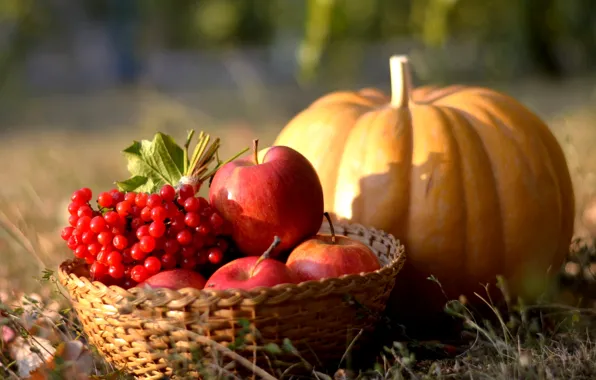 Картинка осень, яблоки, тыква, калина