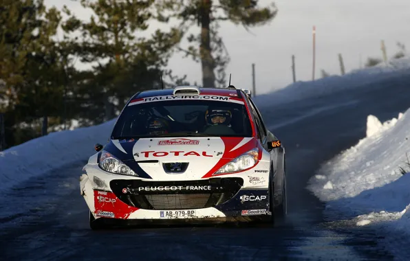 Зима, Машина, Пежо, Peugeot, WRC, Rally, Ралли, Передок