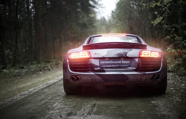 Car, машина, авто, лес, туман, дождь, ауди, audi