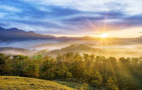 Картинка солнце, рассвет, красота