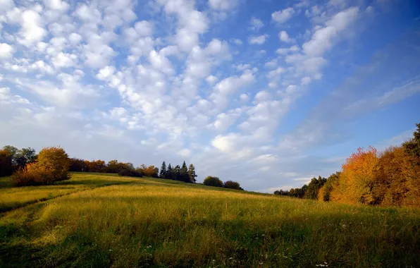 Картинка осень, небо, облака, природа, луг