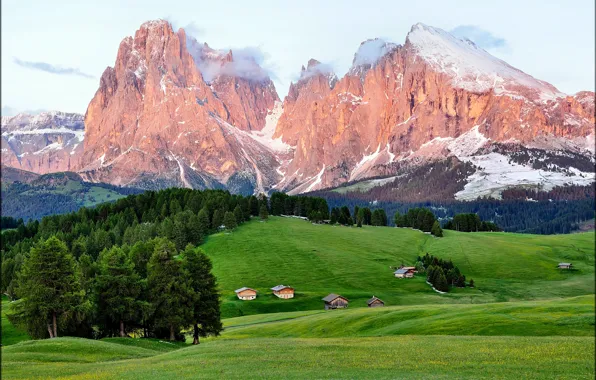 Лес, лето, горы, дома, Enrosadira Italia