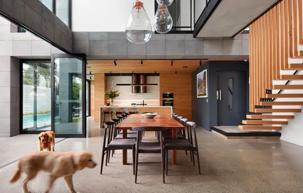 Дизайн, стиль, интерьер, Австралия, кухня, лестница, Melbourne, столовая