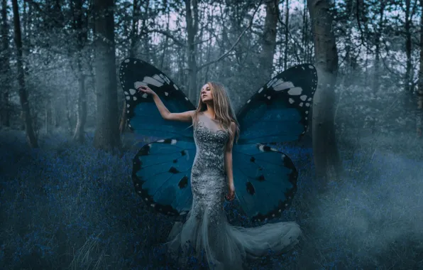 Картинка лес, девушка, настроение, бабочка, платье, крылышки