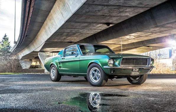 Mustang, Ford, мустанг, Fall, форд, Beautiful, Classic, Green
