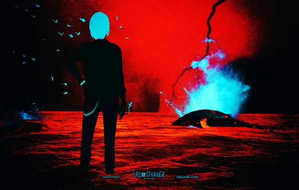 Море, волны, брызги, бабочка, игра, киты, fan art, Life is strange