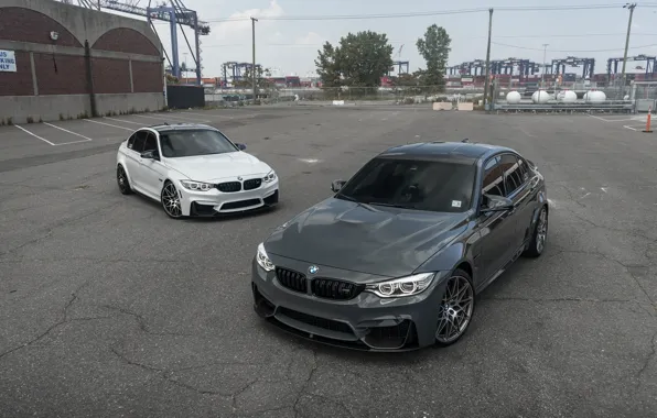 Картинка BMW, White, Grey, F80, LED, Versus