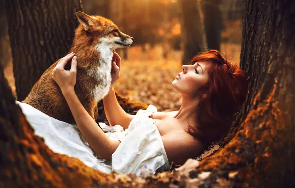 Картинка Fox, white, dress, Autumn, autumn, tree, Woman, sitting