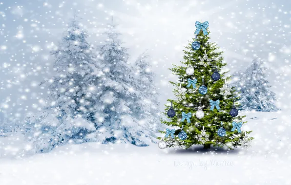 Картинка зима, лес, снег, елка, Рождество, Новый год, forest, Christmas