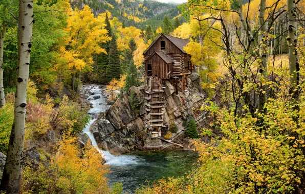 Картинка осень, лес, деревья, река, водопад, Колорадо, водяная мельница, Colorado