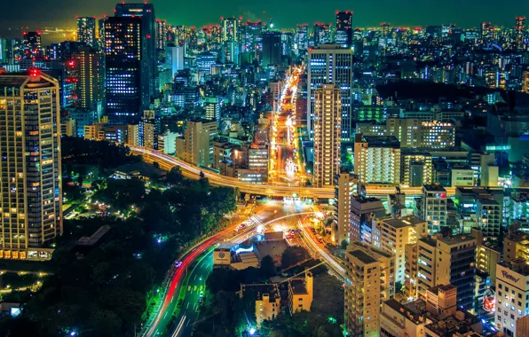 Огни, панорама, Tokyo, здание ночь