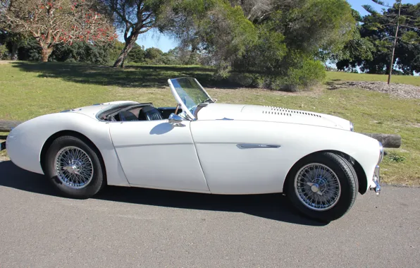Car, white, retro, cabriolet