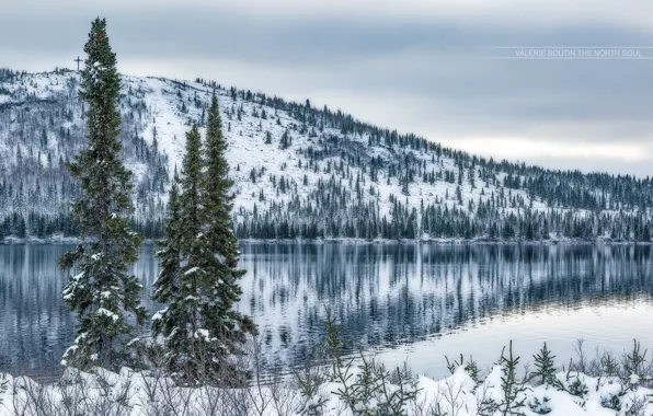 Зима, снег, озеро, дерево, гора