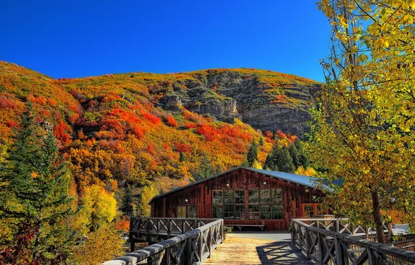 Картинка осень, деревья, горы, природа, дом, фото