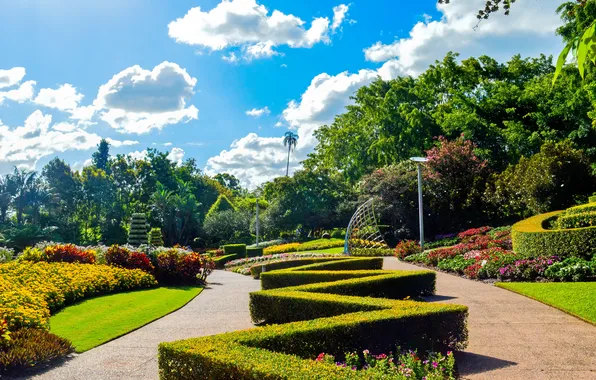 Картинка light, sky, park, clouds, plants, australia, palm tree, parket