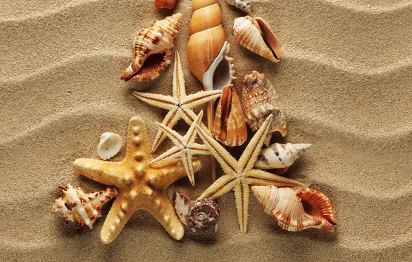 Картинка песок, волны, ракушки, морские звезды