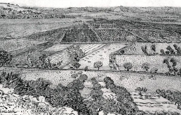 Поля, посевы, чёрно - белое, Винсент ван Гог, La Crau seen, from Montmajour