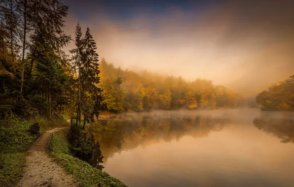 Картинка осень, туман, река