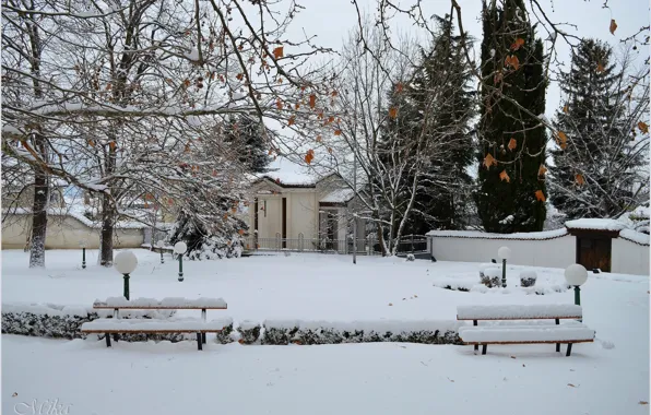 Картинка Зима, Снег, Парк, Мороз, Winter, Frost, Park, Snow