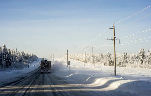 Wood, Winter, Snow, Street, Truck, Ice, Trees, Telephone Pole
