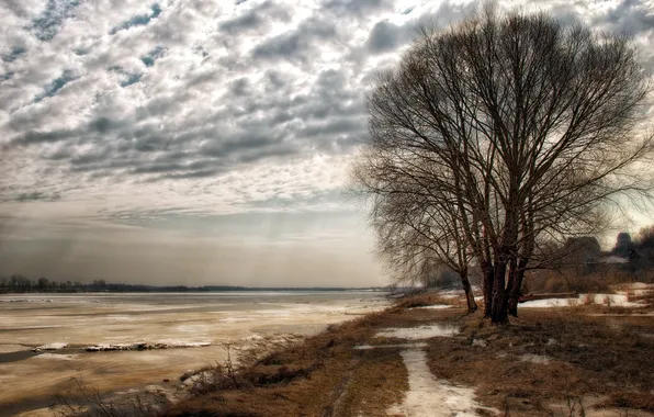 Деревья, пейзаж, природа, река, весна