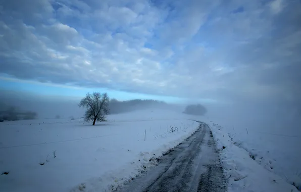 Зима, дорога, снег, дерево