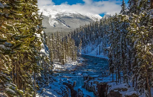 Картинка зима, лес, снег, горы, река, Канада, Альберта, Alberta