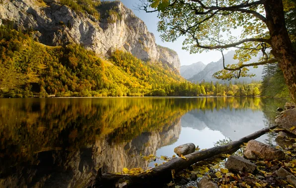 Осень, лес, горы, ветки, озеро, отражение, камни, дерево