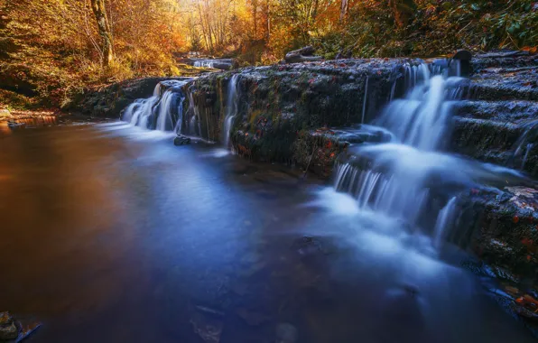 Картинка осень, лес, водопад, поток