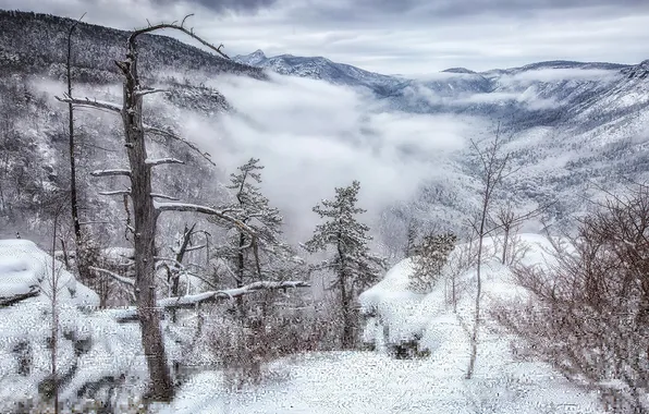 Снег, горы, природа