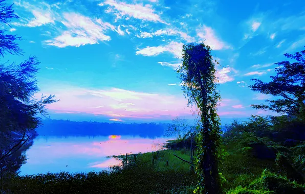 Clouds, Sky, Grass, Water, Sunrise, Dawn, Morning, Lake
