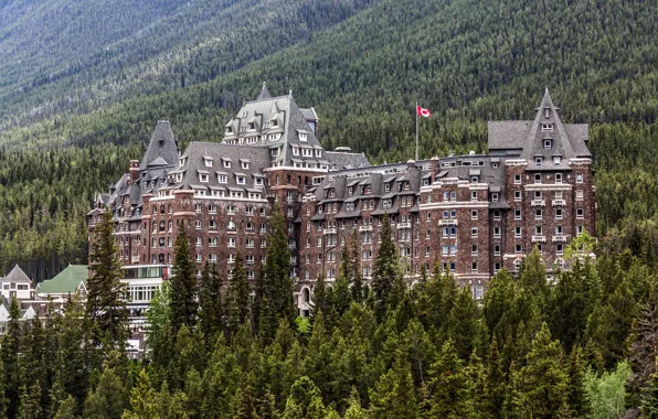 Лес, деревья, здание, Канада, отель, Canada, Banff, Банф