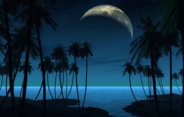Картинка пейзаж, ночь, пальмы, планета, спутник, вектор