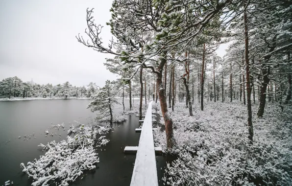 Картинка зима, природа, река
