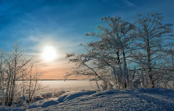 Зима, пейзаж, озеро, утро