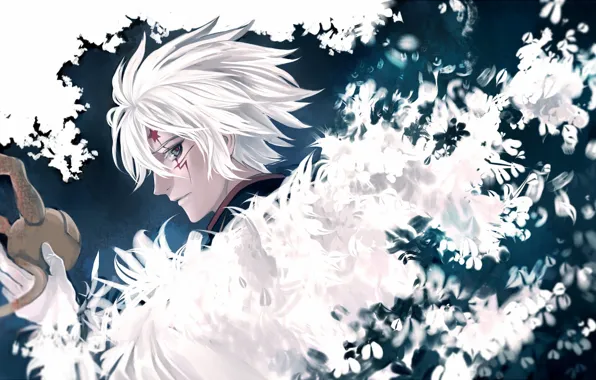 Взгляд, аниме, арт, парень, D. Gray-man